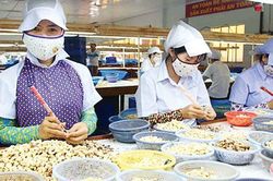 Ngành điều kêu cứu khẩn cấp