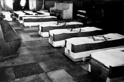 Đức điều tra sai sót an ninh dẫn đến vụ tấn công tại Thế vận hội Munich 1972