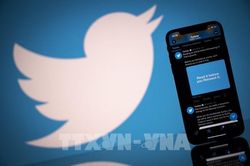 Twitter gỡ hàng loạt tích xanh gắn kèm nhiều tài khoản