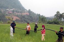 Nhiều diện tích cây trồng thiếu nước