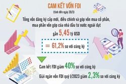 Phát triển dịch vụ hứa hẹn thu hút dòng vốn đầu tư ngoại