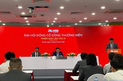 Cổ đông MSB không thông qua kế hoạch sát nhập ngân hàng yếu kém