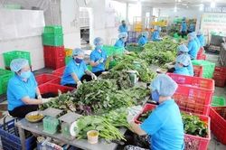 Tăng cường bảo đảm an ninh, an toàn thực phẩm