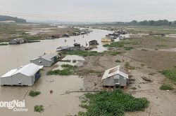 Giao mùa, cần chủ động ứng phó rủi ro cá bè chết