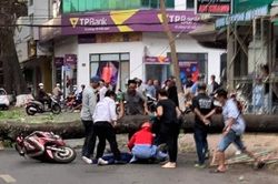 Cây xanh bật gốc đè người phụ nữ đi đường ở Đắk Lắk