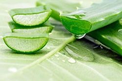 Mẹo làm mặt nạ siêu tiết kiệm cho các loại da