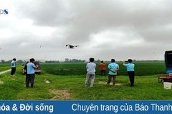 Nông dân đi đầu trong sản xuất nông nghiệp hiện đại