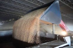 Các nước G7 ủng hộ mở rộng thỏa thuận ngũ cốc