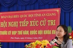 Cử tri đề nghị sớm tổng kết 'những gương điển hình dám nói, dám làm'