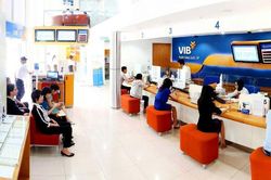 Ngân hàng Quốc tế báo lãi quý 1 đạt 2.700 tỷ đồng, trả cổ tức 35%