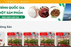 Lào Cai hỗ trợ doanh nghiệp, người dân ứng dụng thương mại điện tử
