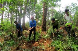 Nguy cơ cháy rừng rất cao, Bộ Nông nghiệp yêu cầu ứng trực 24/24h
