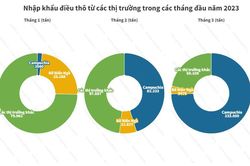 Campuchia chiếm 52% lượng nhập khẩu điều thô của Việt Nam quý 1