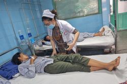 3 người trong một gia đình bị ngộ độc do ăn thịt cóc