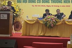 Lãnh đạo Vinasun nói không ngại cạnh tranh với taxi điện của tỉ phú Phạm Nhật Vượng