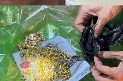 Thanh Hóa: Nhanh chóng triệt xóa nhóm cướp giật liên tỉnh
