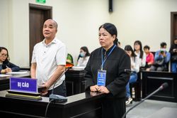 Kéo dài thời gian nghị án vụ thâu tóm 'đất vàng' trên phố Bà Triệu