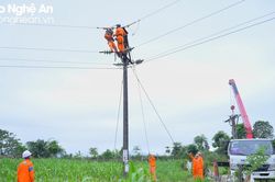 Điện lực Nghệ An diễn tập xử lý các tình huống phòng, chống thiên tai và tìm kiếm cứu nạn