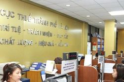 Cục Thuế Hà Nội triển khai chuẩn hóa dữ liệu mã số thuế cá nhân