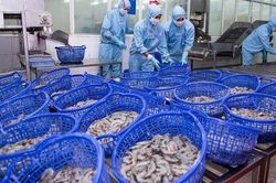 Sao Ta (FMC): Doanh thu quý I giảm đáng kể, lợi nhuận vẫn tăng vì đâu?