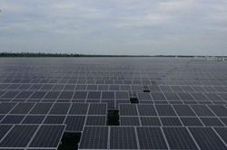 Dự án Solar Park 5 Long An: Chưa được chấp thuận chủ trương, phát hành trái phiếu cao gấp 6,7 lần vốn