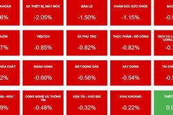 Nhóm chứng khoán kéo VN-Index đi xuống, HPG vững vàng nhờ kết quả quý 1