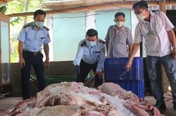 Ngăn chặn hơn 1,7 tấn thịt lợn bốc mùi chuẩn bị đưa vào các bếp ăn