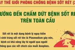 Ngày Thế giới Phòng chống sốt rét: Việt Nam nỗ lực để đạt mục tiêu không còn sốt rét