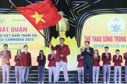 Thương hiệu đội tuyển thể thao Việt Nam