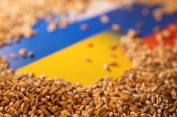 Ukraine chật vật gỡ cái khó cho ngành xuất khẩu