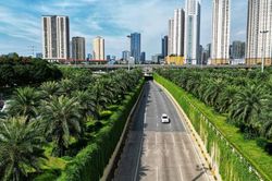 Định hướng lớn phát triển Thủ đô được xác định với mô hình chùm đô thị và các hành lang xanh