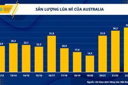 Hiện tượng El Nino và tác động tới ngành chăn nuôi Việt Nam