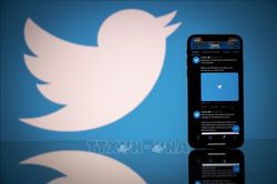 Twitter yêu cầu người dùng gỡ hơn 6,5 triệu bài đăng trong 6 tháng đầu năm ngoái