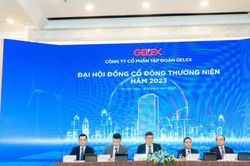 ĐHĐCĐ Gelex: Sẽ đầu tư có chiều sâu vào BĐS khu công nghiệp