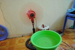 Đặt thêm thứ này trong phòng, dùng quạt hay điều hòa đều tiết kiệm một nửa tiền điện