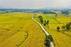 Chuyển đổi nông nghiệp đáp ứng mục tiêu phát triển bền vững