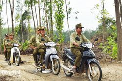 Hỗ trợ kịp thời cho lực lượng chuyên trách bảo vệ rừng