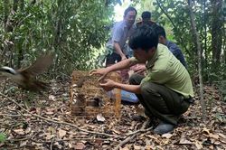 Thả hàng trăm cá thể động vật quý hiếm về rừng
