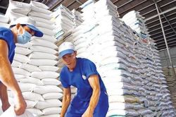 Xuất khẩu giá cao nhưng gạo Việt không đủ để bán
