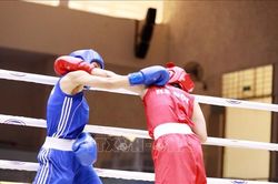 Bế mạc Giải vô địch Boxing các đội mạnh toàn quốc 2023