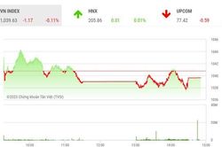 VN-Index sẽ rung lắc trong biên độ hẹp và chưa thể chấm dứt ngay