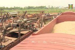 Ngăn chặn tình trạng khai thác cát trái phép (Chính quyền đô thị ngày 25/04/2023)