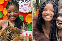 'Nàng tiên cá' Halle Bailey bị chỉ trích vì đến sở thú khét tiếng ngược đãi động vật