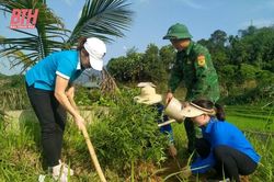 Trồng 100 cây hoa đào trong khuôn viên nhà văn hóa thôn