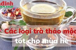 Các loại trà thảo mộc tốt cho mùa hè