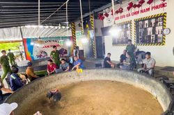 Triệt phá sới bạc qua việc giao lưu đá gà chọi