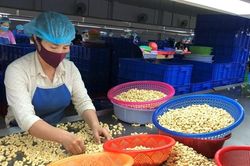 Cú xoay chiều lịch sử, ngành hàng tỷ USD chao đảo từ ngôi số 1 thế giới