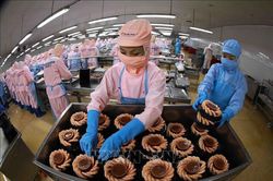 Phát triển bền vững nghề nuôi tôm - Bài cuối: Đột phá xuất khẩu