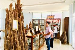 Để hương Trầm Vạn Thắng bay xa