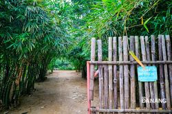 Nhẹ nhàng ta tới Sơn Trà Tịnh Viên